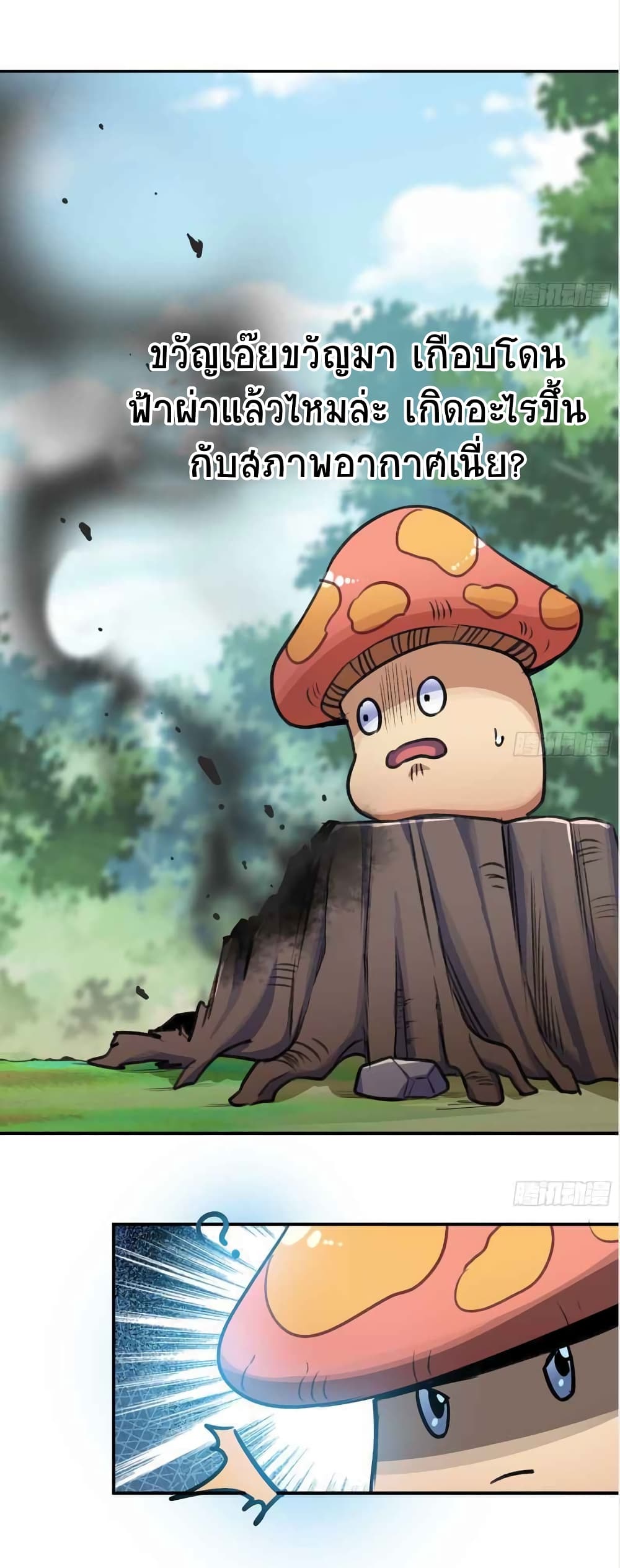 Mushroom Brave 5 (31)